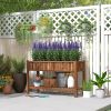 Raised Garden Bed, 47 x 22 x 31.5in Elevated Wood Planter Box with Storage Shelf, Drainage Holes and Liner, Carbonized
